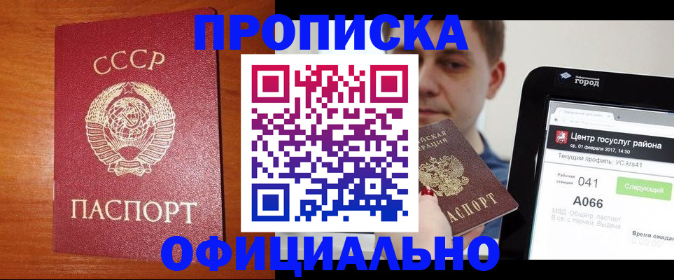 временная регистрация гарантия в Павловске